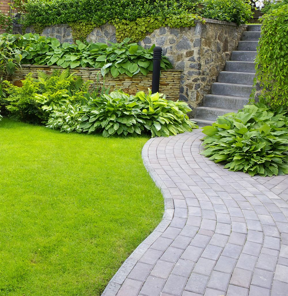 Ein gepflasteter Weg in einem gepflegten Garten